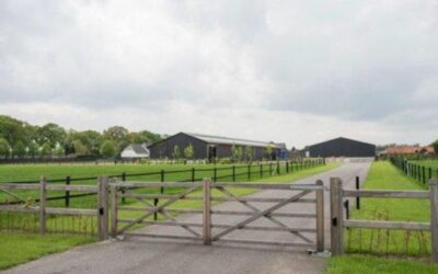 Extra nieuwsbrief excursie naar stal Hendrix, 26 maart