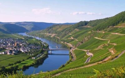 Uitnodiging Algemene leden- en jaarvergadering donderdag 9 april 2026